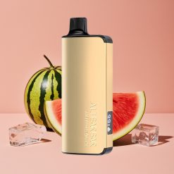 Alibarbar Ingot 9000 Puffs Engangsdamper Vannmelon Is 22ml 2350mAh LED