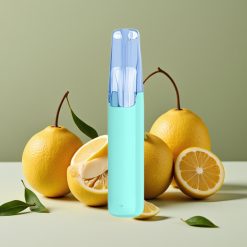 Snowplus Dash 4000 Puffs Engangsdevice Menthol Pluss med Keramisk Atomizer, 7,5 ml, 530 mAh